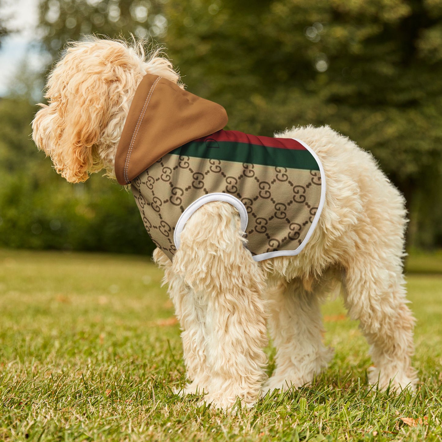 Trendy Pet Hoodie - 'DIVA' Designer Style for Fashionable Dogs