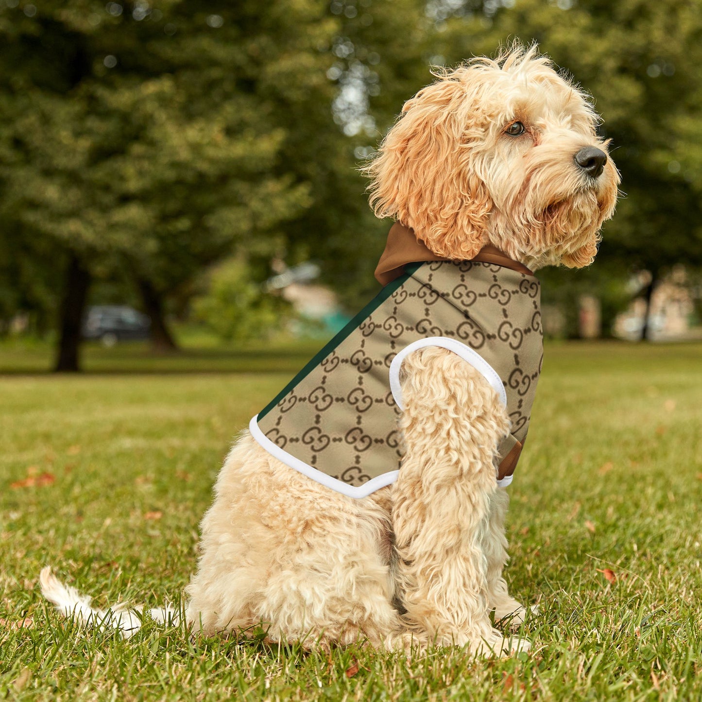 Trendy Pet Hoodie - 'DIVA' Designer Style for Fashionable Dogs
